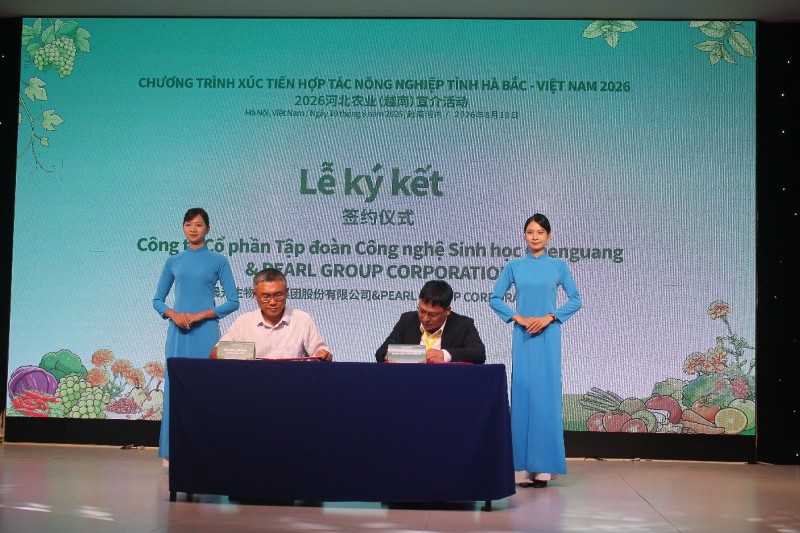 Vietnam and Hebei (China) enhance logistics connectivity to boost agricultural trade