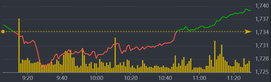 Diễn biến VN-Index sáng nay.