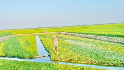 Measures to be implemented  to mitigate El Niño impacts