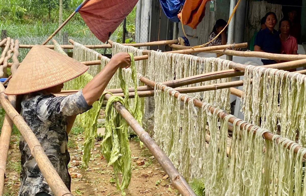 Sợi tơ lá dứa có độ mảnh, dai và mềm, phù hợp để phát triển các sản phẩm xanh. Ảnh: Nguyễn Thuấn.