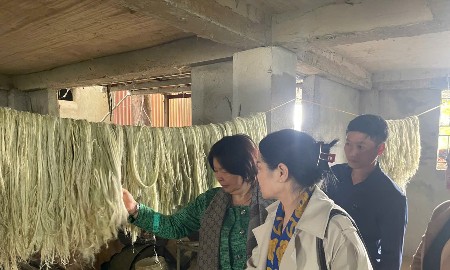 Từ những sợi tơ dứa, mở hướng phát triển kinh tế xanh