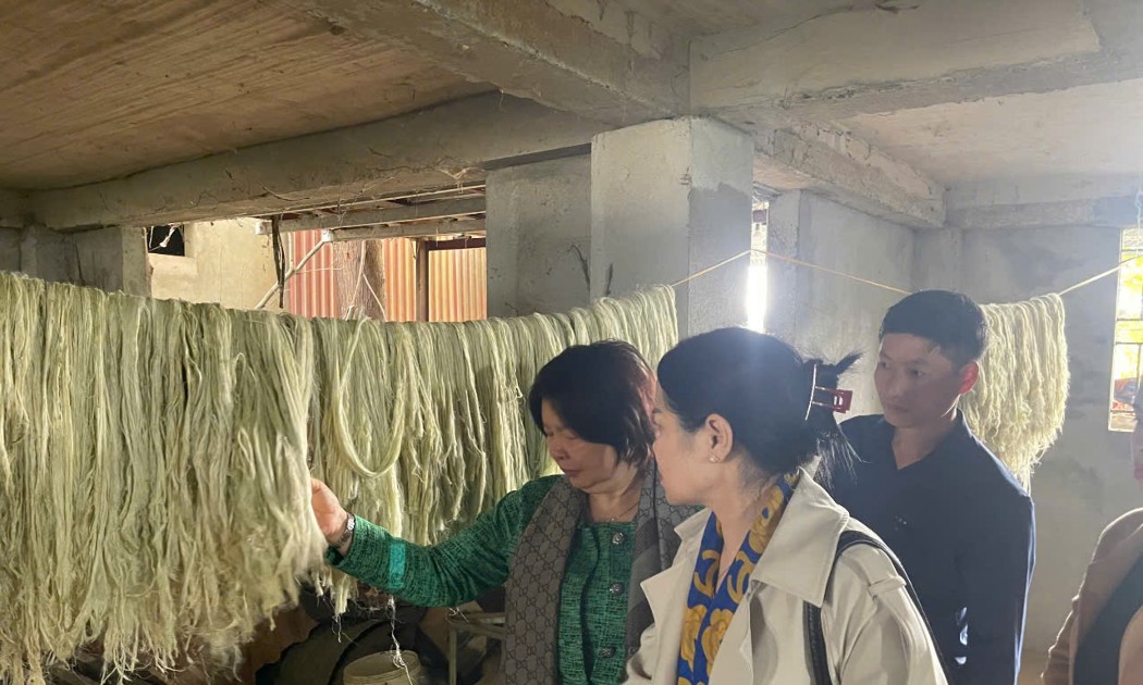 Thành phẩm sợi tơ lá dứa được hợp tác xã bảo quản trước khi cung cấp cho doanh nghiệp liên kết. Ảnh: Nguyễn Thuấn.
