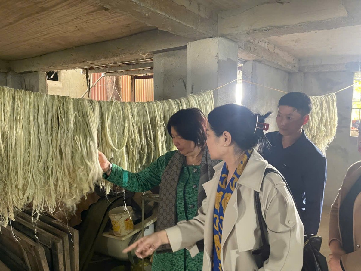 Thành phẩm sợi tơ lá dứa được hợp tác xã bảo quản trước khi cung cấp cho doanh nghiệp liên kết. Ảnh: Nguyễn Thuấn.