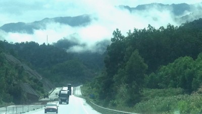 Da Nang aims for up to three forest carbon projects and credit trading by 2030