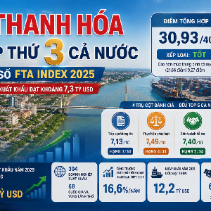 Thanh Hóa xếp thứ 3 cả nước chỉ số FTA index (đồ họa TXT)