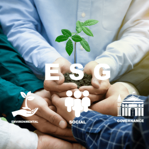 ESG đang chuyển từ yêu cầu về trách nhiệm sang yếu tố liên quan trực tiếp đến năng lực cạnh tranh và giá trị dài hạn của doanh nghiệp. Ảnh: Greeninnovation