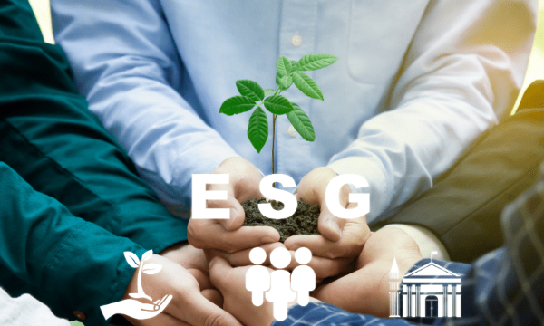 Đánh giá mức độ thực hành ESG của doanh nghiệp Việt