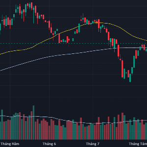 VN-Index đã vượt nhẹ qua đường trung bình 50 ngày (MA50).