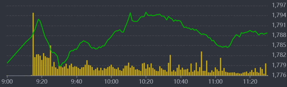 Diễn biến VN-Index sáng nay.