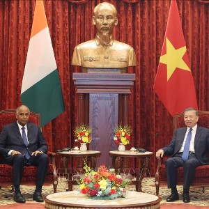 Tổng Bí thư, Chủ tịch nước Tô Lâm tiếp Chủ tịch Quốc hội Côte d’Ivoire Patrick Achi thăm chính thức Việt Nam. Ảnh: Thống Nhất – TTXVN
