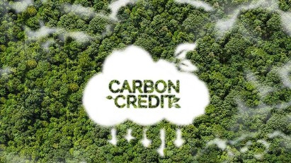 Vietnam proposes streamlining access to international climate and land finance