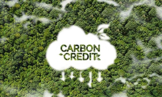 (Illustrative image from Vietnam Net Zero Alliance)