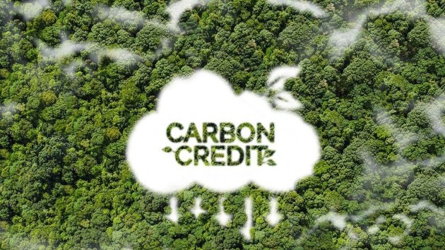 Vietnam proposes streamlining access to international climate and land finance