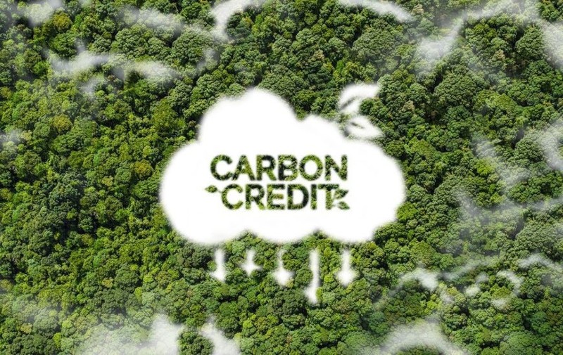Vietnam proposes streamlining access to international climate and land finance