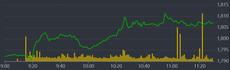 Diễn biến VN-Index sáng nay.