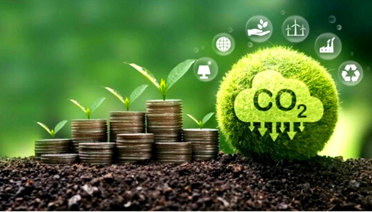 Việt Nam đề xuất ba ưu tiên nhằm mở rộng các cơ chế tài chính đổi mới cho phục hồi đất trên phạm vi toàn cầu (Ảnh minh họa). Ảnh:Vjst