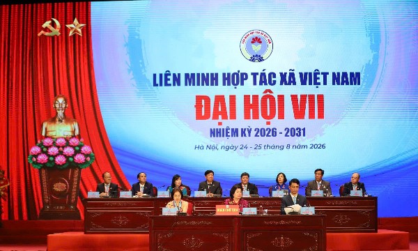 Đổi mới tư duy hợp tác xã, tạo động lực nâng tầm giá trị và phát triển bền vững