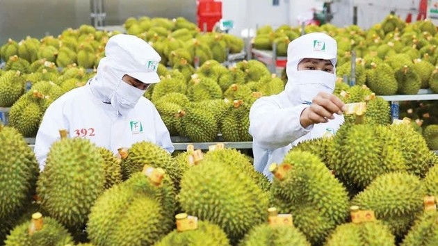 Agricultural cooperation plays key role in Vietnam-India bilateral trade