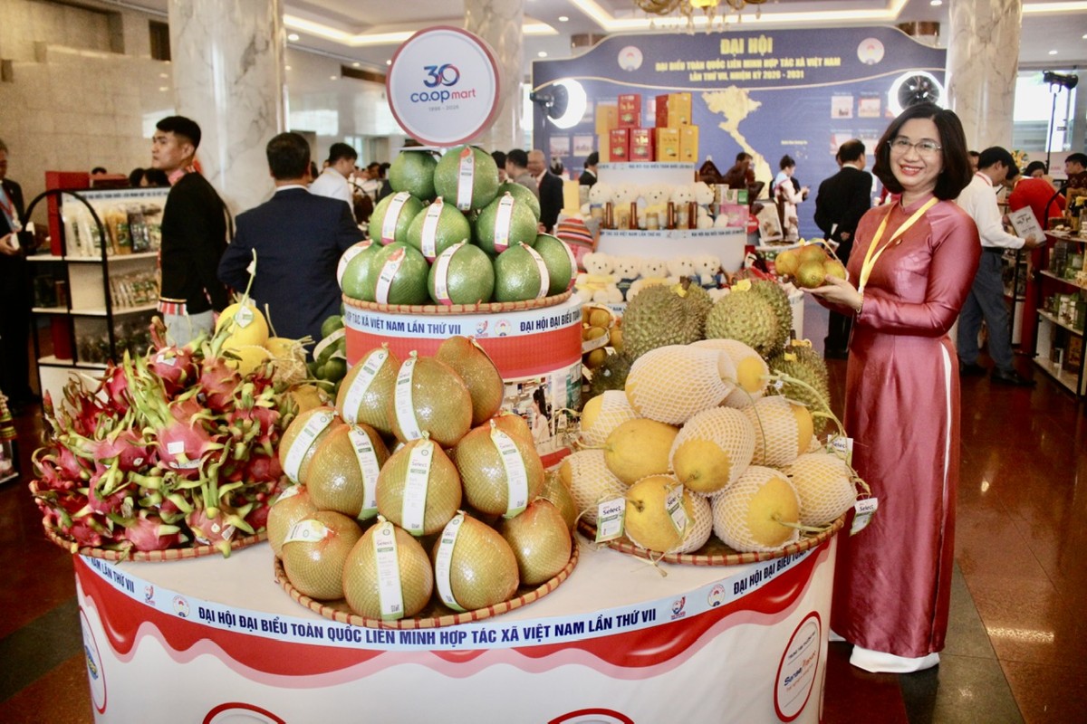 Nhiều nông sản OCOP của các hợp tác xã trưng bày bên lề Đại hội. Ảnh: Chu Khôi.