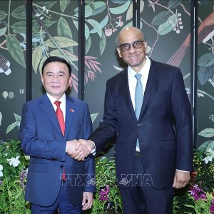 Thường trực Ban Bí thư Trần Cẩm Tú hội kiến Tổng thống Singapore Tharman Shanmugaratnam. Ảnh: Phương Hoa - TTXVN