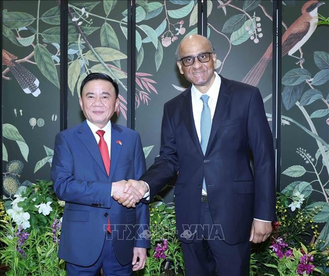 Thường trực Ban Bí thư Trần Cẩm Tú hội kiến Tổng thống Singapore Tharman Shanmugaratnam. Ảnh: Phương Hoa - TTXVN