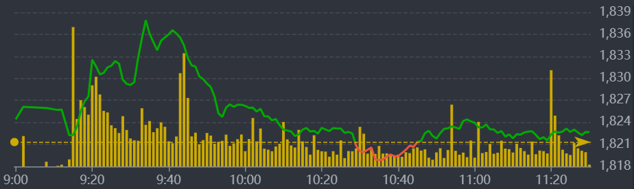 Diễn biến VN-Index sáng nay.