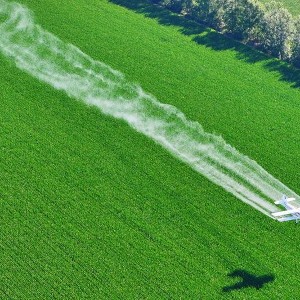 Một máy bay nông nghiệp thực hiện phun thuốc bảo vệ cây trồng trên cánh đồng ngô của Tập đoàn Beidahuang, tỉnh Hắc Long Giang, Đông Bắc Trung Quốc. Ảnh: Xinhua