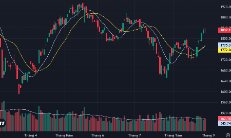 VN-Index và các đường trung bình 10 ngày và 20 ngày.