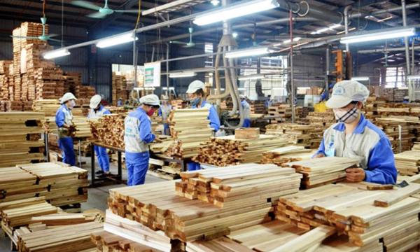 Đưa AI vào “lõi” vận hành, thúc đẩy chuyển đổi quản trị ngành gỗ