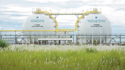 In search of strategic autonomy in energy