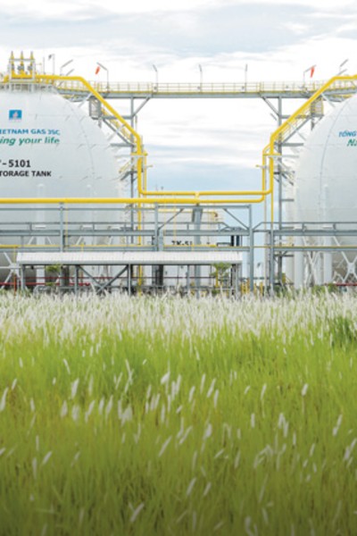 In search of strategic autonomy in energy