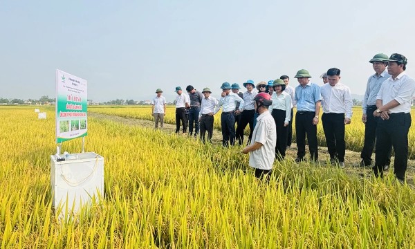 Sửa Nghị định 98: Hướng tới chuỗi giá trị nông sản hiện đại, bền vững