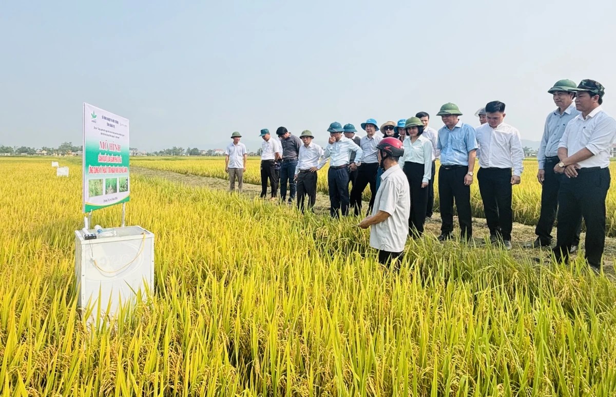 Việc sửa đổi Nghị định 98/2018/NĐ-CP sẽ giúp xây dựng khung chính sách mới thúc đẩy phát triển chuỗi giá trị nông sản hiện đại, bền vững và hội nhập sâu với kinh tế toàn cầu. Ảnh: Kim Hoa