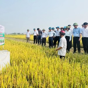Việc sửa đổi Nghị định 98/2018/NĐ-CP sẽ giúp xây dựng khung chính sách mới thúc đẩy phát triển chuỗi giá trị nông sản hiện đại, bền vững và hội nhập sâu với kinh tế toàn cầu. Ảnh: Kim Hoa