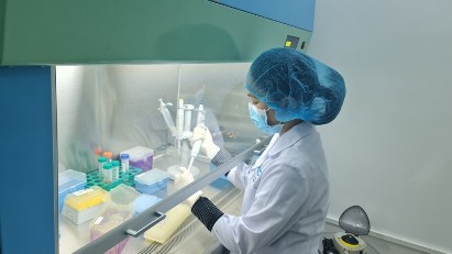 Private firms proposed for martyr DNA identification