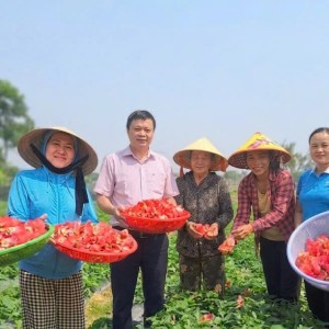 Từ sản xuất đến tiêu thụ, OCOP Huế hướng tới hình thành chuỗi giá trị có tính liên kết cao hơn. Ảnh: UBND TP. Huế.