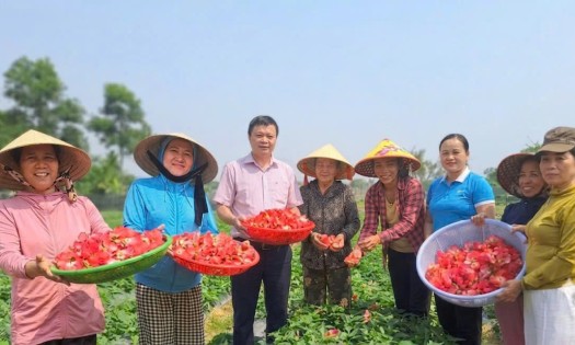 Từ sản xuất đến tiêu thụ, OCOP Huế hướng tới hình thành chuỗi giá trị có tính liên kết cao hơn. Ảnh: UBND TP. Huế.