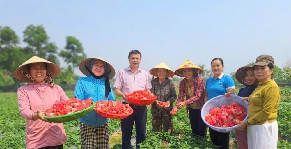 Từ sản xuất đến tiêu thụ, OCOP Huế hướng tới hình thành chuỗi giá trị có tính liên kết cao hơn. Ảnh: UBND TP. Huế.