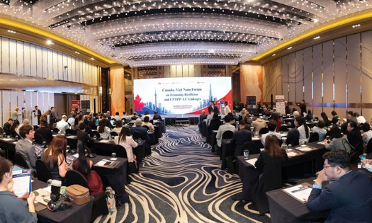 the Canada-Vietnam Forum on Economic Resilience and CPTPP-EU Linkages, held recently in Ho Chi Minh City.(Photo: Canadian embassy in Hanoi)