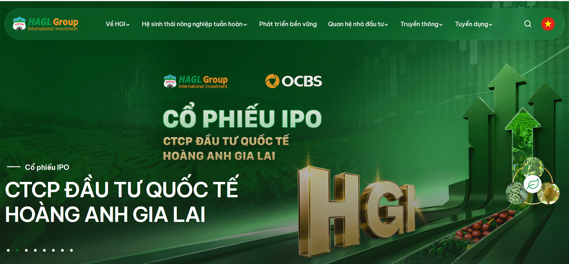 Công ty Cổ phần Đầu tư Quốc tế Hoàng Anh Gia Lai thực hiện chào bán cổ phiếu lần đầu ra công chúng với mục đích bổ sung vốn cho hoạt động sản xuất kinh doanh nhằm mở rộng quy mô và nâng cao năng lực sản xuất của công ty.