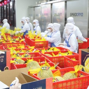 Sầu riêng, thanh long là những mặt hàng trái cây chủ lực của Việt Nam . Ảnh: VPG.
