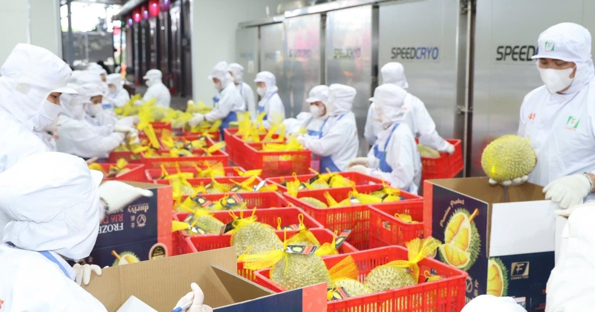 Xuất khẩu rau quả bứt tốc nhờ sầu riêng và các mặt hàng chủ lực