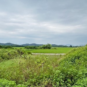 Ảnh minh họa: Thanh Xuân 