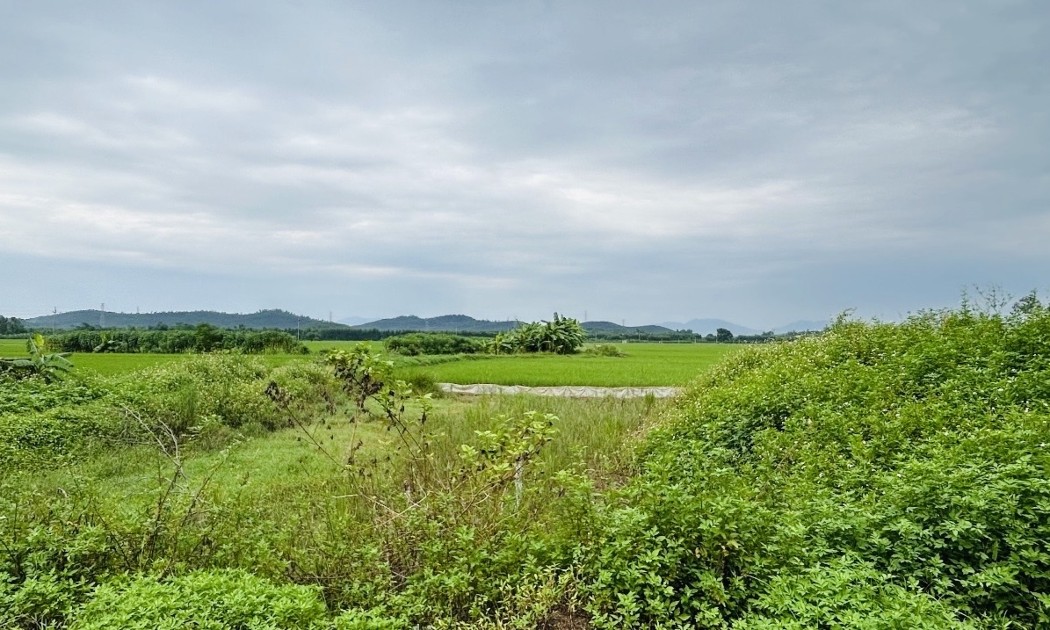 Ảnh minh họa: Thanh Xuân