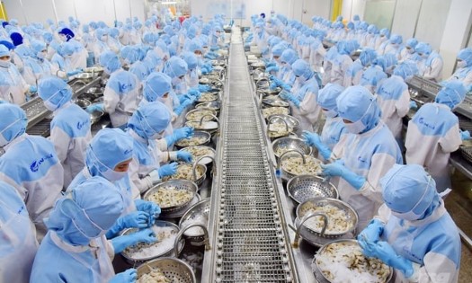 Vietnam generates nearly $49.31 billion from agricultural, forestry, and aquatic exports in January-August. (Photo: Ministry of Agriculture and Environment)