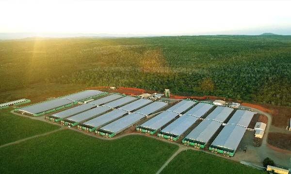 GREENFEED: Kinh doanh đạt nhiều điểm sáng nửa đầu năm