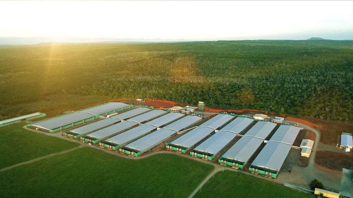Một cụm trại của GREENFEED Việt Nam khu vực miền Trung.