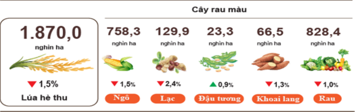 Diện tích cây rau màu. Nguồn: Cục Thống kê.