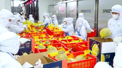 Vietnam’s fruit and vegetable exports up 21.8% to nearly $5.9 bln
