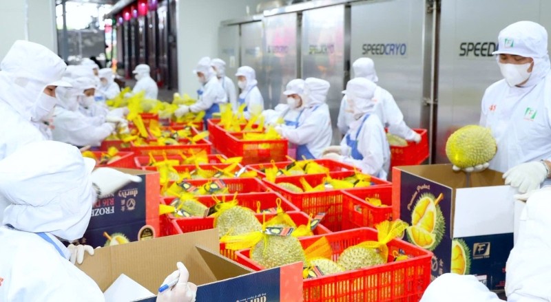 Vietnam’s fruit and vegetable exports up 21.8% to nearly $5.9 bln